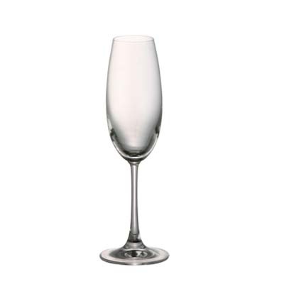 DiVino Champagneglass 22 cl, 6-Pakk